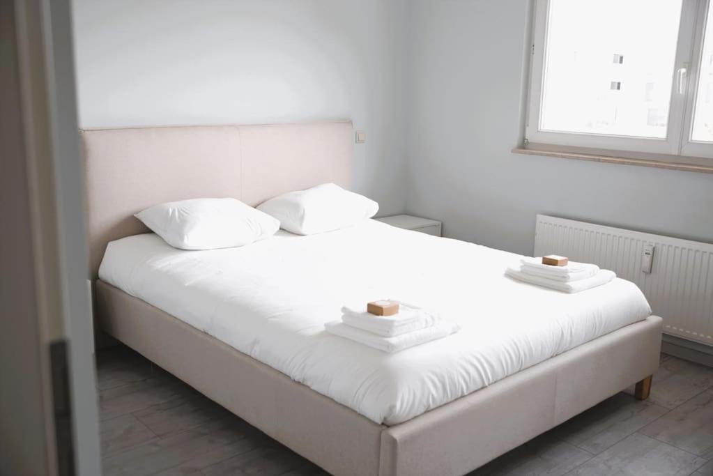 Alzingen Charming Modern 2 Bedroom Apartment מראה חיצוני תמונה