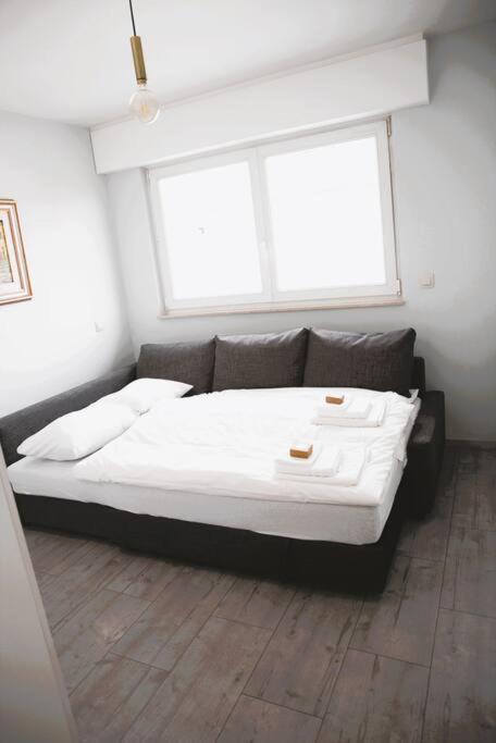 Alzingen Charming Modern 2 Bedroom Apartment מראה חיצוני תמונה